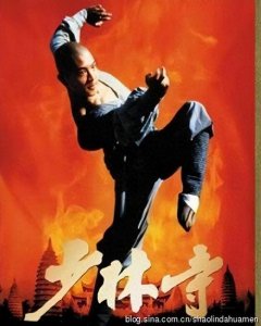 ​经典国产武打片图文回顾1-少林寺 专辑1概述