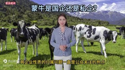 ​蒙牛是国企还是私企？