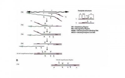 ​老公出轨，如何挽回他的心？