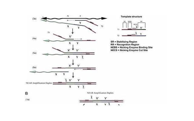 老公出轨，如何挽回他的心？