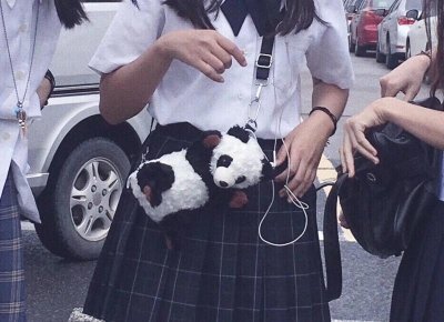 ​我听妈妈的话把彩礼钱借给哥哥买房，换来一个离婚的结局