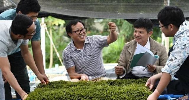 实拍：生长在水里的“野葡萄”味道不错还能美容养颜