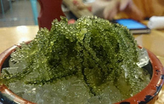 实拍：生长在水里的“野葡萄”味道不错还能美容养颜