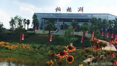 ​离成都仅10公里的冷门景区，人少景美还免费，快去吧