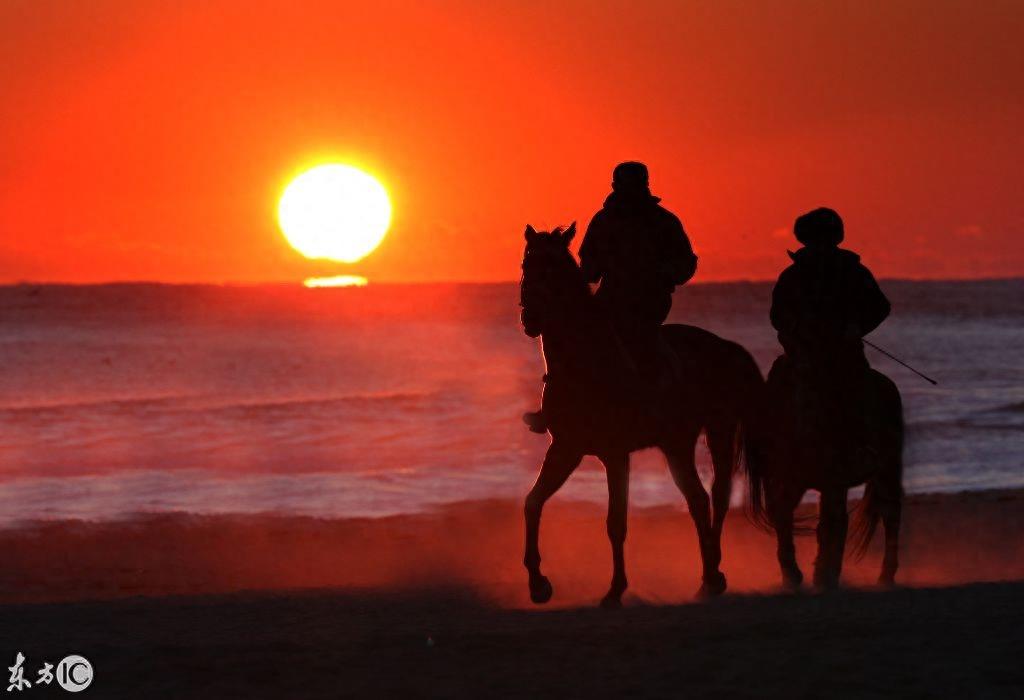 骑马仗剑走天涯，多少人的梦想，多少人被现实羁绊？