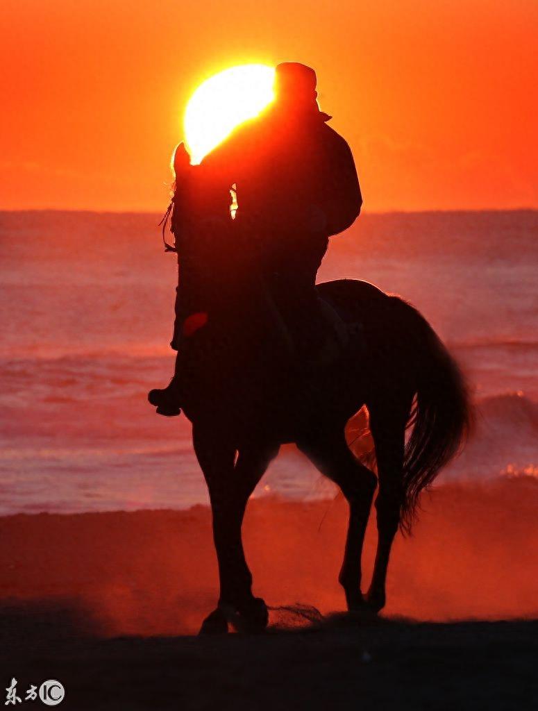 骑马仗剑走天涯，多少人的梦想，多少人被现实羁绊？