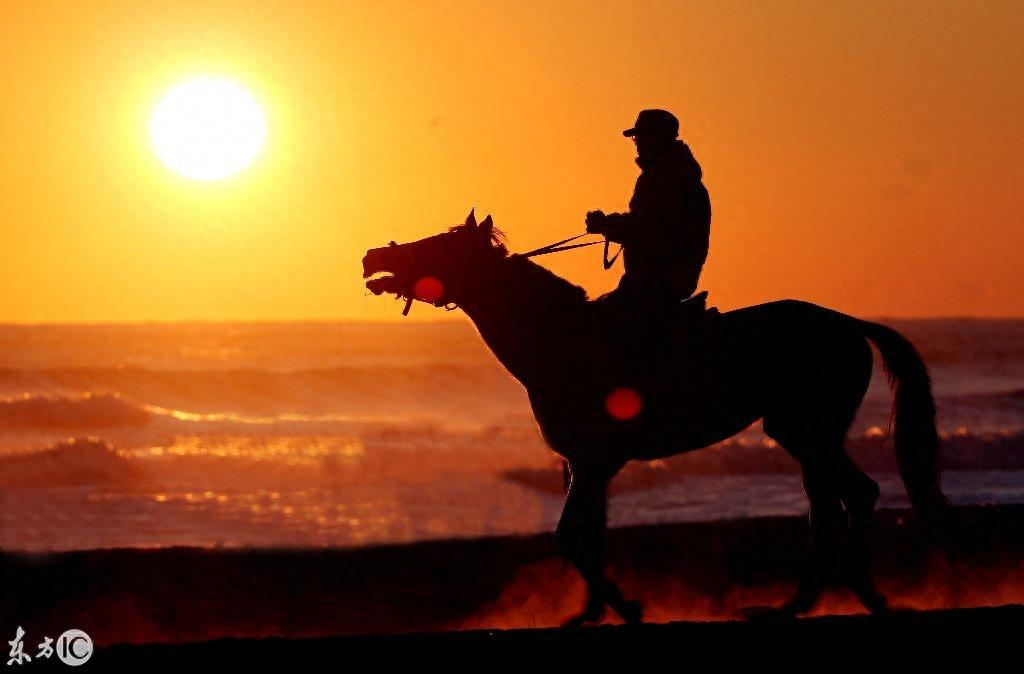 骑马仗剑走天涯，多少人的梦想，多少人被现实羁绊？