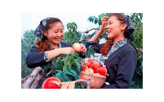 挽回婚姻的三大技巧 怎么能挽救自己的婚姻