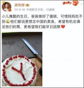 ​龚琳娜与德国丈夫离婚，知情人透露原因，两个混血儿子或归女方抚养