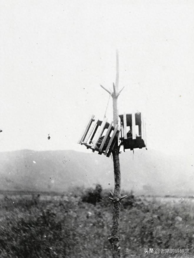 直击清末刑场，图1是刽子手，图3正在吃上路饭，图4是枭首示众