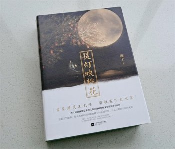 ​推文《提灯映桃花》，这篇差点被锁的文，满天神佛也玩狗血酸爽了