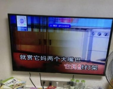 ​电视播放改编的儿歌，家长：这种内容也能播？