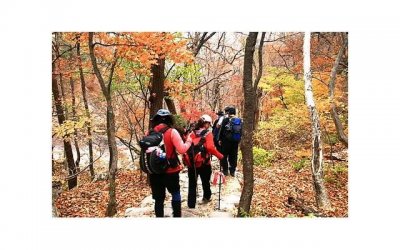 ​现在离婚是不是还有冷静期