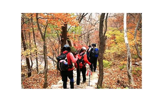 现在离婚是不是还有冷静期