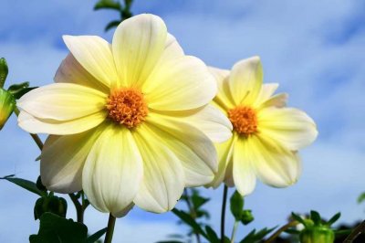 ​越优秀的人，越没朋友：独来独往的人，真的不简单