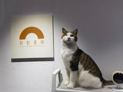 ​深度剖析宠物殡葬行业现状及其前景