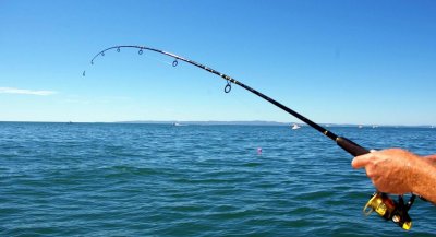 ​“好消息！黑工买韩国地变合法”