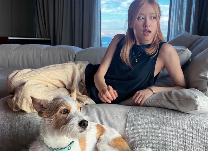 双鱼女为什么那么好睡