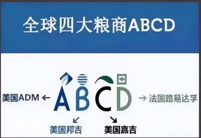 ​掌控全球 80% 粮食交易量的四大粮商，究竟有多可怕？