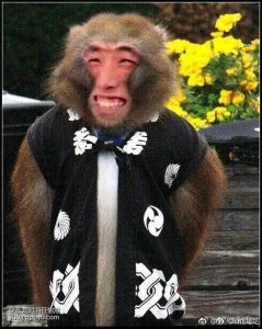 ​新晋一哥纯白斗鱼首秀露脸 网友直呼：太帅！