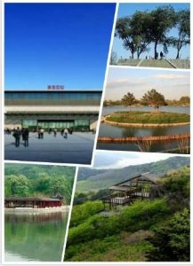 ​河北省石家庄市高邑县