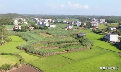 ​广西钦州冯子材将军墓，清朝末年对外战争唯一战胜侵略国的将领