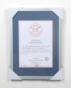 ​男子1500米自由泳世界纪录保持者:孙杨