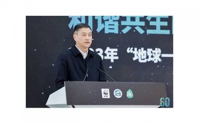 ​不完美的她尚武（深度解析尚武对莲生的心态变化）