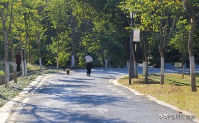 ​四川十大城市排名，成都领先第二名约8000亿，宜宾第3，自贡第11