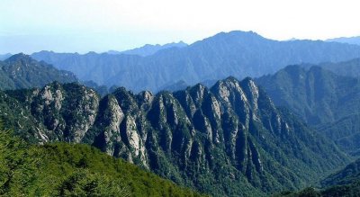 ​“食铁兽”现身我国秦岭，比黑白大熊猫还稀少，全球仅此一只？