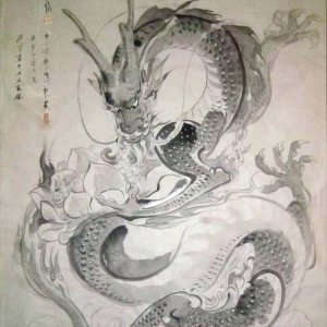 ​世界上真的有龙吗