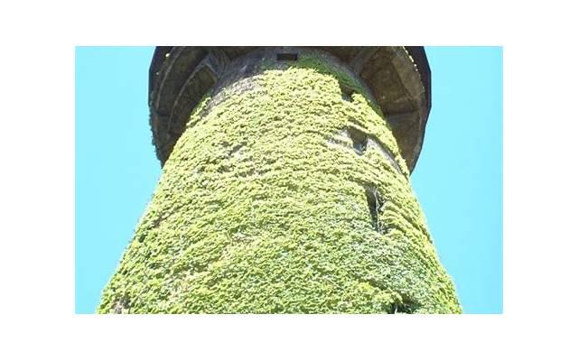 外阴瘙痒影响怀孕吗？