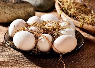 ​总说土鸡蛋洋鸡蛋，它们的区别到底在哪里？