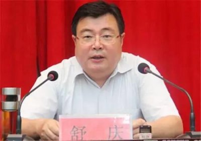 ​舒庆当选新乡市委书记，王登喜、阮金泉当选副书记