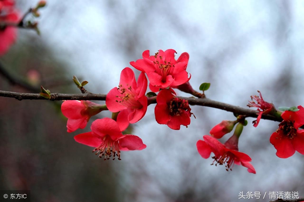 想念，是会呼吸的痛！