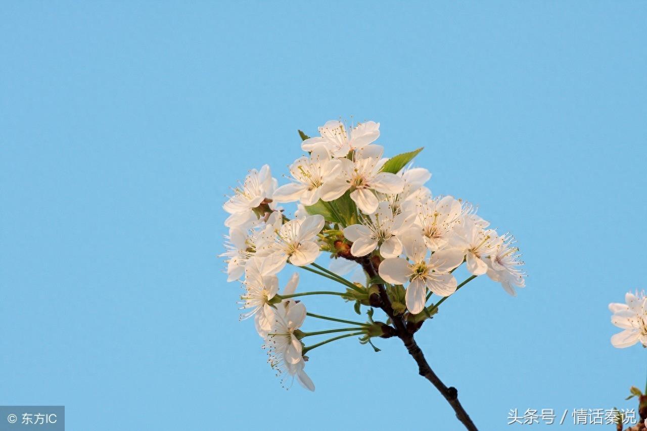 想念，是会呼吸的痛！