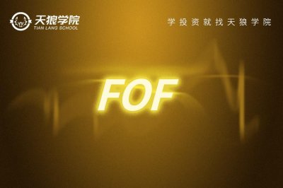 ​干货 |@天狼50陈浩亲自解读FOF基金，你想知道的可能都在这里了