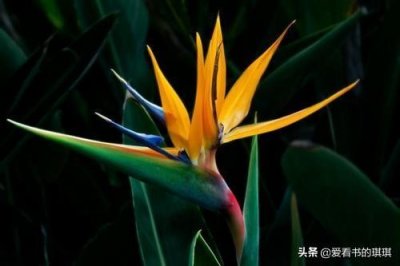 ​生活要有节奏感