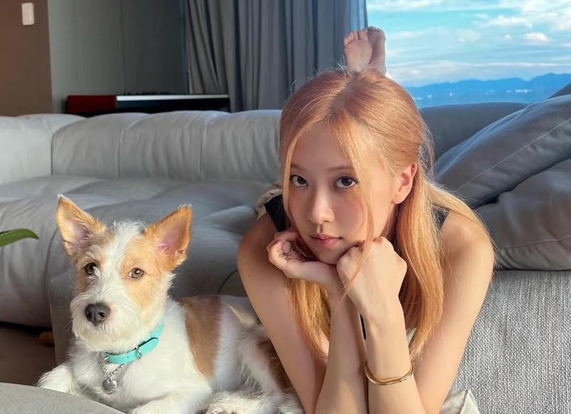 追巨蟹座女生需要注意什么(追巨蟹座女生的步骤)