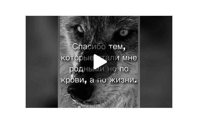 男同事可以感觉到女生对他的好感(怎样和女生聊天她会对我产生好感)