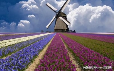 ​为什么说：“听闻爱情，十有九悲。”