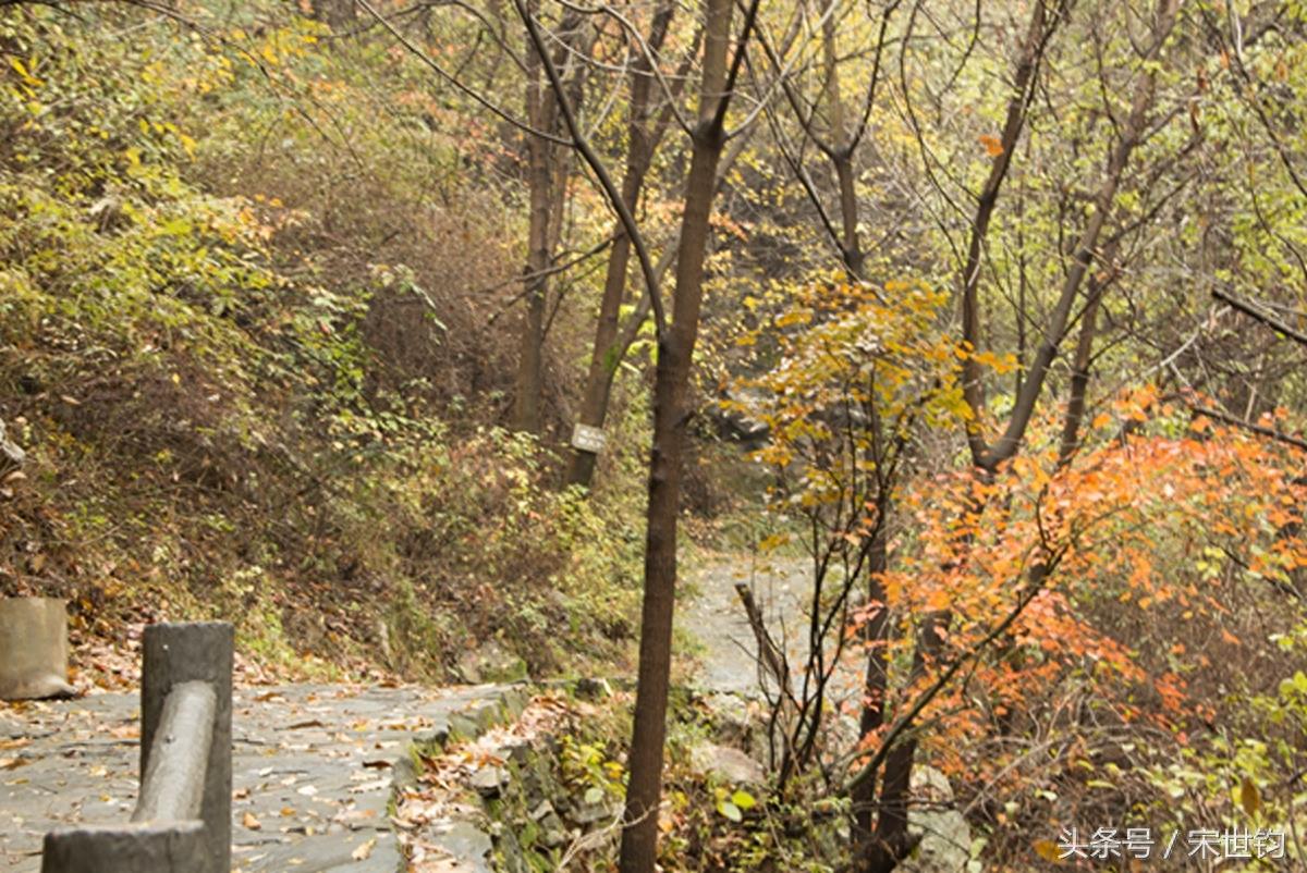 中国道教名山——少华山