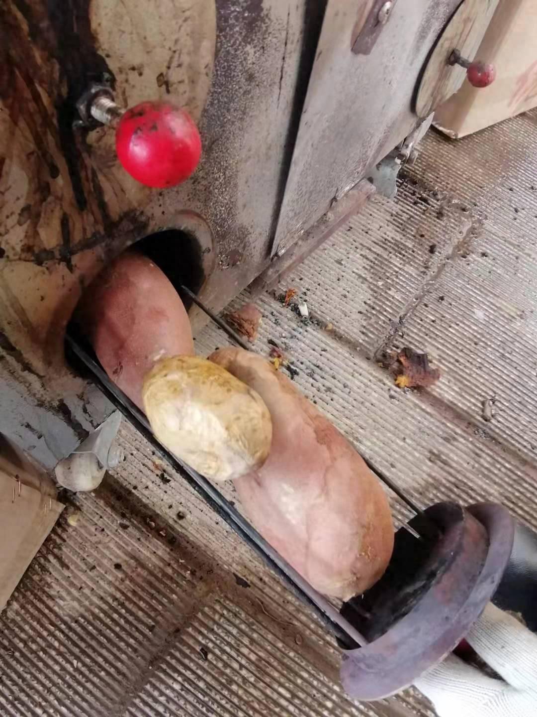 甘肃小吃看过来 一路下来不带重样的 每个都好吃唉