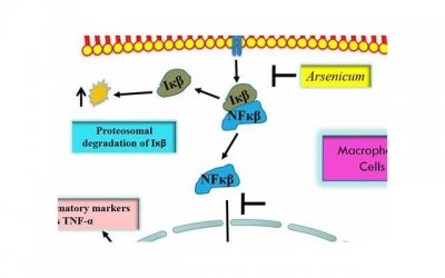 ​隐婚族介绍结婚流行究竟有何不同