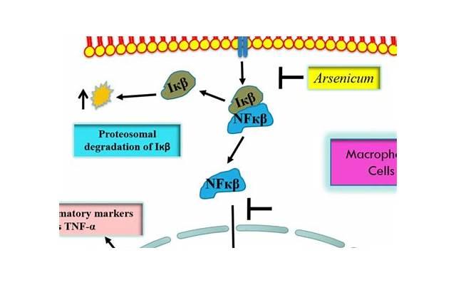 隐婚族介绍结婚流行究竟有何不同