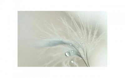 ​才能升级关系 第二次和女生约会做什么