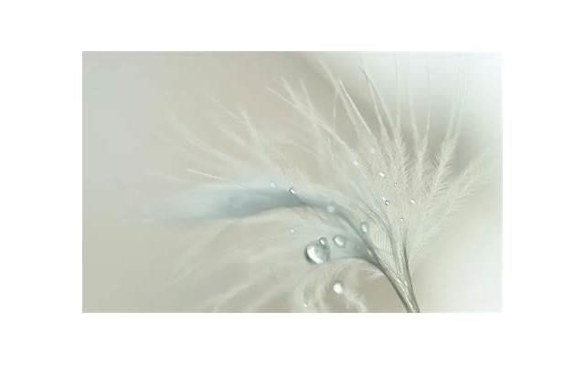 才能升级关系 第二次和女生约会做什么