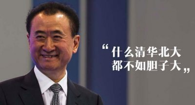 ​“普通人”王思聪