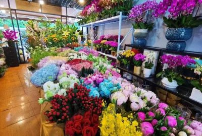 ​上海市中心最大的花鸟市场岚灵花鸟市场复市