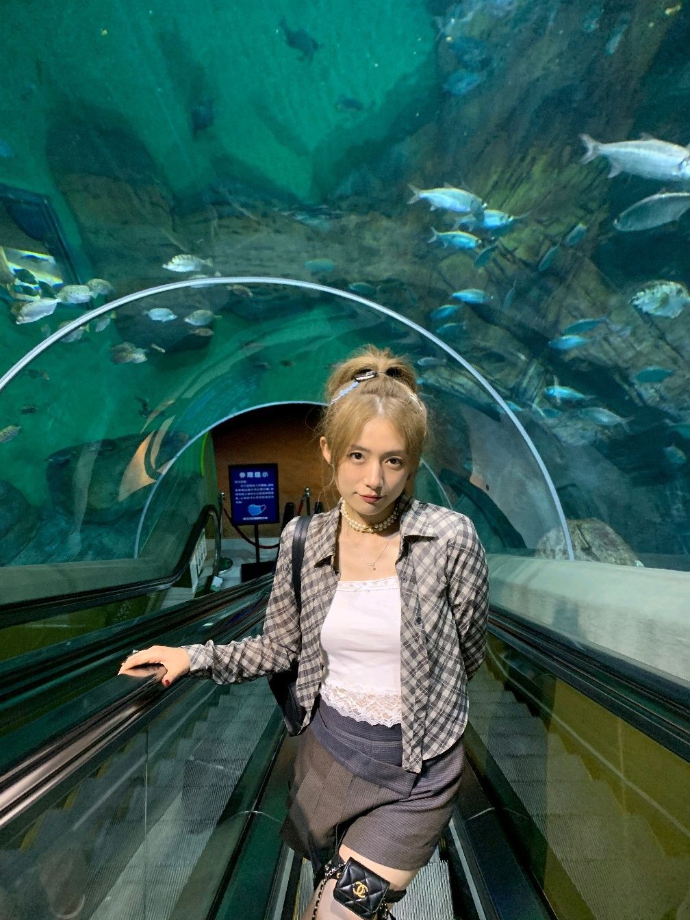 李诞老婆黑尾酱是哪里人（李诞老婆是谁）